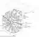 Fig. 01 - WHEEL ASSEMBLY