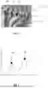 Fig. 04 - METHOD FOR ADJUSTING A HEADLIGHT SYSTEM