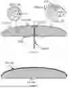Fig. 03 - SURFING DEVICE