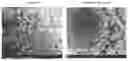 Fig. 02 - METAL HYDROXIDE, POSITIVE ELECTRODE MATERIAL, ELECTROCHEMICAL DEVICE, AND ELECTRICAL DEVICE