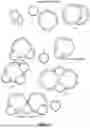 Fig. 09 - Engines Structure For Water Molecules Impulse, Order and Control For Agriculture Purposes