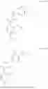 Fig. 06 - MODULATORS OF BCL-2 OR BCL-2/BCL-XL AND USES THEREOF