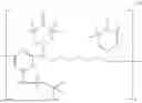 Fig. 09 - THERMOPLASTIC COMPOSITION AND METHOD FOR PRODUCING THE SAME, AND MOLDING PRODUCT
