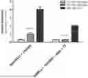 Fig. 01 - RE-AGGREGATION OF STEM CELL-DERIVED PANCREATIC BETA CELLS