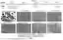 Fig. 04 - RE-AGGREGATION OF STEM CELL-DERIVED PANCREATIC BETA CELLS