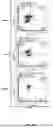 Fig. 11 - RE-AGGREGATION OF STEM CELL-DERIVED PANCREATIC BETA CELLS