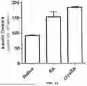 Fig. 16 - RE-AGGREGATION OF STEM CELL-DERIVED PANCREATIC BETA CELLS