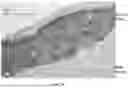 Fig. 24 - RE-AGGREGATION OF STEM CELL-DERIVED PANCREATIC BETA CELLS