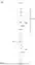 Fig. 08 - MEASURING APPARATUS FOR THE ONLINE MEASUREMENT OF AT LEAST ONE PROPERTY OF PROCESS LIQUIDS AT AT LEAST TWO DIFFERENT FLOW RATES FOR THE PRODUCTION OF A MEDICAL LIQUID