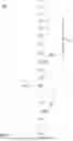 Fig. 09 - MEASURING APPARATUS FOR THE ONLINE MEASUREMENT OF AT LEAST ONE PROPERTY OF PROCESS LIQUIDS AT AT LEAST TWO DIFFERENT FLOW RATES FOR THE PRODUCTION OF A MEDICAL LIQUID
