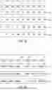 Fig. 08 - SEARCHABLE VIDEO WITH BINARY VECTORS