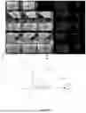 Fig. 06 - SYSTEM AND METHOD FOR IDENTIFYING ITEMS