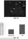 Fig. 27 - MACHINE LEARNING SYSTEMS AND METHODS FOR IDENTIFYING AND CLASSIFYING RARE CELLS