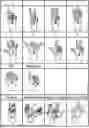 Fig. 01 - GESTURE RECOGNITION DEVICE