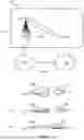 Fig. 02 - POLARIZED RECEPTION OF REFERENCE SIGNALS AT A TERMINAL DEVICE