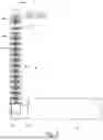 Fig. 03 - BROKEN PADDLE DETECTION SYSTEM FOR ELEVATOR OF COMBINE HARVESTER