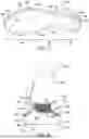 Fig. 09 - ARTICLE OF FOOTWEAR HAVING A SOLE PLATE
