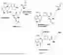 Fig. 34 - METHODS AND COMPOSITIONS RELATING TO STEROID HORMONE RECEPTOR-DEPENDENT PROLIFERATIVE DISORDERS