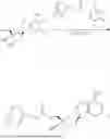 Fig. 197 - ADENOSINE DERIVATIVE AND PHARMACEUTICAL COMPOSITION COMPRISING THE SAME