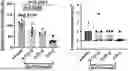 Fig. 01 - SMAD7 POLYPEPTIDE FORMULATIONS