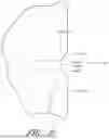 Fig. 11 - Plastic container with varying depth ribs