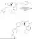 Fig. 577 - MODULATORS OF TNF-ALPHA ACTIVITY