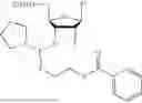 Fig. 167 - POLYNUCLEOTIDE CONSTRUCTS
