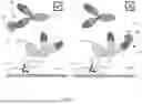 Fig. 02 - COMBINATIONS FOR ALLERGY THERAPY