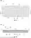 Fig. 02 - Transaction card with displaceable beads