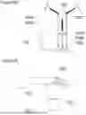 Fig. 09 - AEROPHONE INSTRUMENT USING AIR-FILLED OBJECT