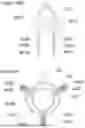 Fig. 44 - AEROPHONE INSTRUMENT USING AIR-FILLED OBJECT
