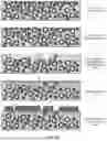Fig. 07 - Dielectric Material Layer, Surface Treatment Method, Package Substrate, and Electronic Device