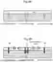 Fig. 10 - TRANSIENT VOLTAGE ABSORPTION ELEMENT