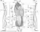 Fig. 06 - Article of footwear having a sole plate