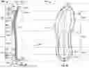 Fig. 23 - Article of footwear having a sole plate
