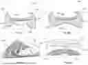 Fig. 25 - Article of footwear having a sole plate