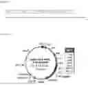 Fig. 02 - PRECISION MOLECULAR ADAPTOR SYSTEM FOR CAR-T IMMUNOTHERAPY