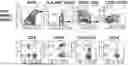 Fig. 01 - METHODS OF CELL THERAPIES