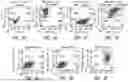 Fig. 07 - Methods for Making Stem Cell-Derived Enteric Neural Crest Cells and Their Use in Enteric Neuropathy Treatment