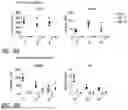 Fig. 08 - Methods for Making Stem Cell-Derived Enteric Neural Crest Cells and Their Use in Enteric Neuropathy Treatment