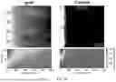 Fig. 04 - ENGINEERED S. TYPHIMURIUM AND USES THEREOF