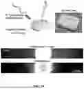 Fig. 11 - ENGINEERED S. TYPHIMURIUM AND USES THEREOF