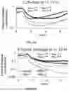 Fig. 16 - ENGINEERED S. TYPHIMURIUM AND USES THEREOF