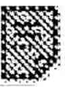 Fig. 02 - Hemp Essential Oil
