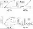 Fig. 09 - Compositions comprising IL-15N72D-based molecules and bacillus calmette-guerin (BCG)