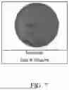 Fig. 08 - Clostridium Histolyticum Enzymes And Methods For The Use Thereof