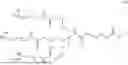 Fig. 10 - CARBOHYDRATE CONJUGATED RNA AGENTS AND PROCESS FOR THEIR PREPARATION