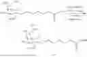 Fig. 54 - CARBOHYDRATE CONJUGATED RNA AGENTS AND PROCESS FOR THEIR PREPARATION