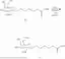 Fig. 55 - CARBOHYDRATE CONJUGATED RNA AGENTS AND PROCESS FOR THEIR PREPARATION