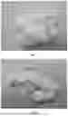 Fig. 02 - PREPARATION METHOD OF OXIDE HIGH-ENTROPY CERAMIC FIBER
